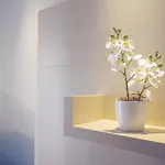 Appart hôtel Domus 4*