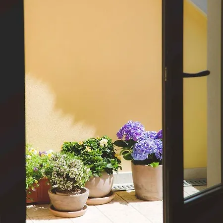 Domus Domodossola