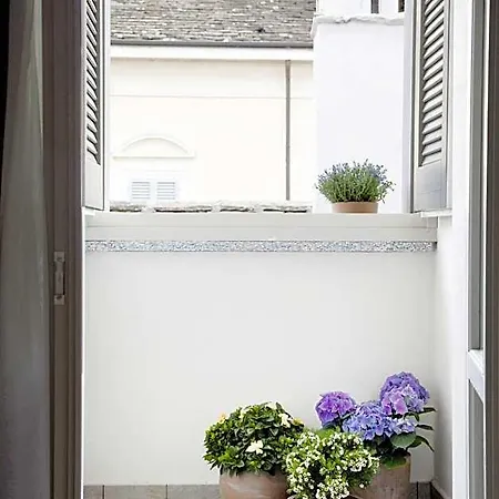 Domus