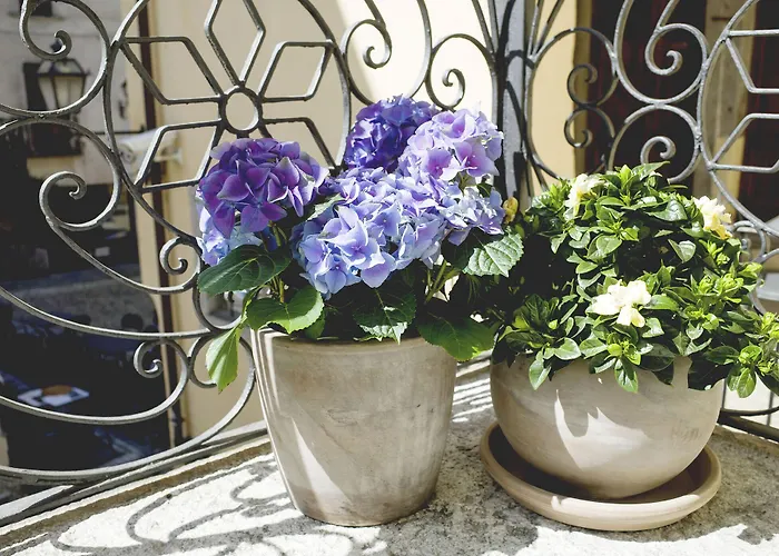 Domus 4* Domodossola